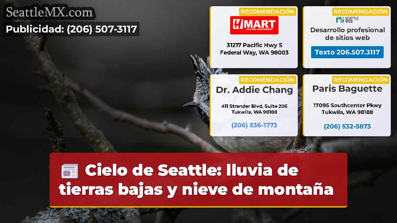 Noticias de Seattle SeattleMX