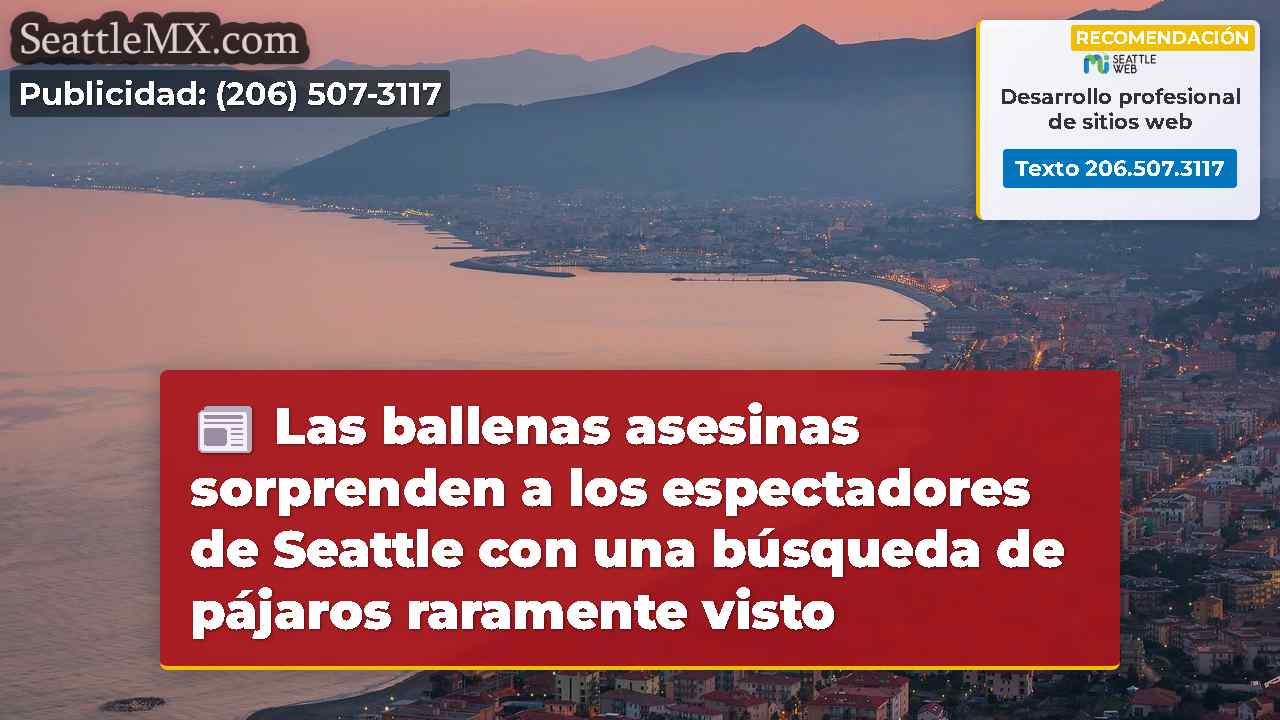 Las ballenas asesinas sorprenden a los