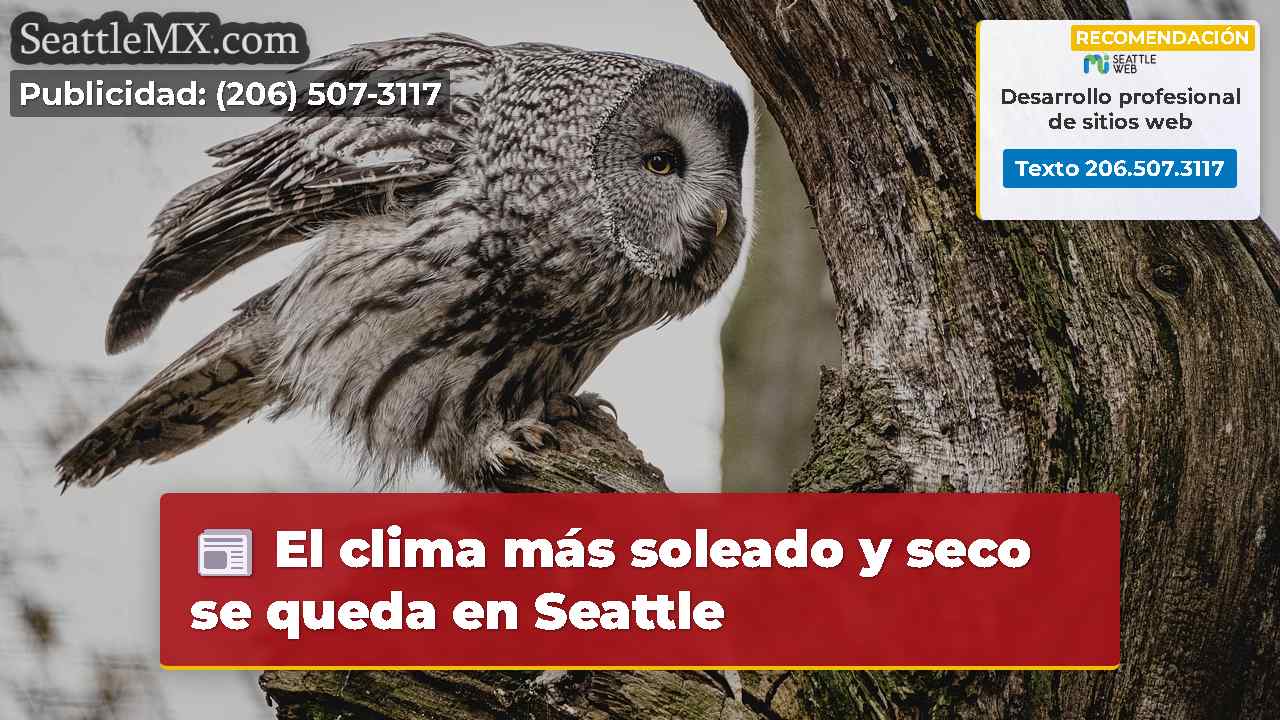Noticias de Seattle SeattleMX