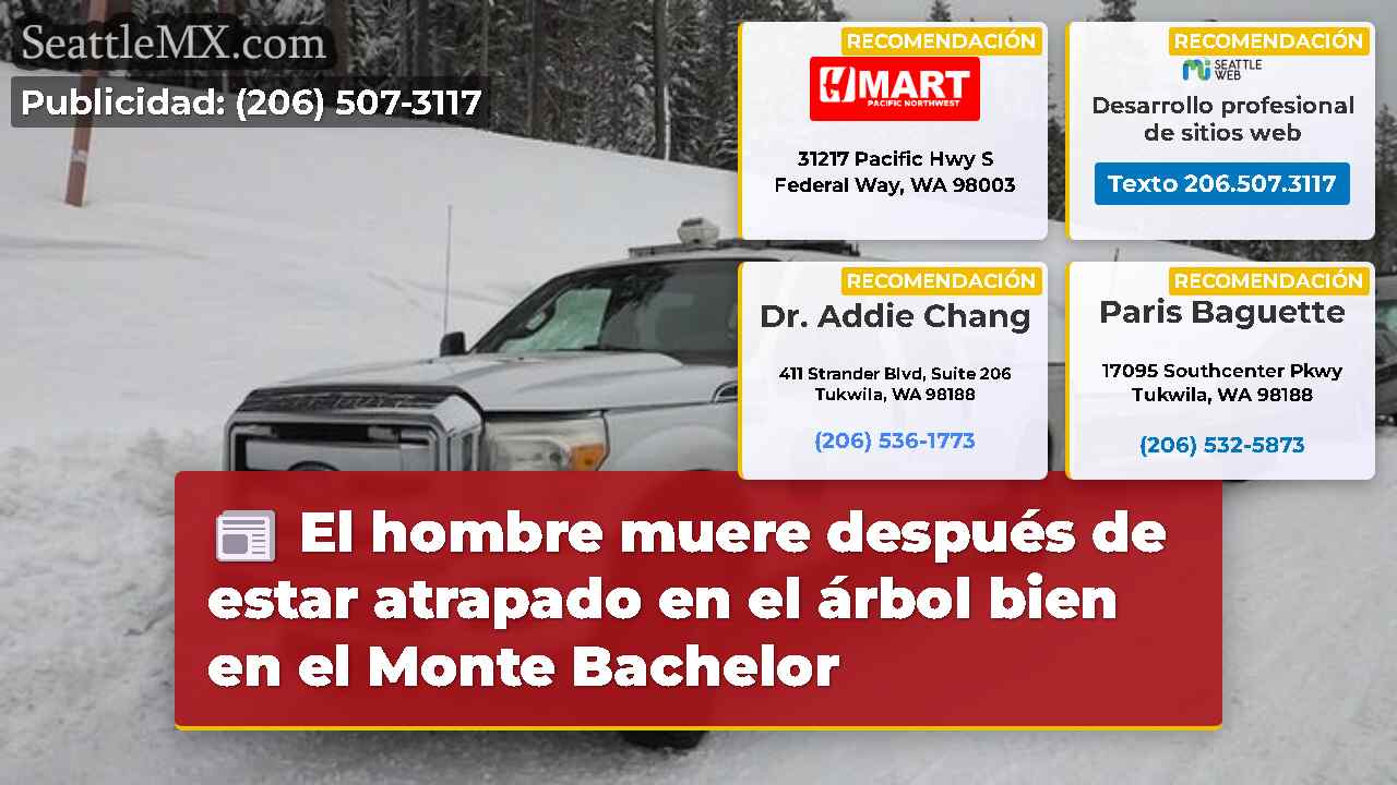 Noticias de Seattle SeattleMX