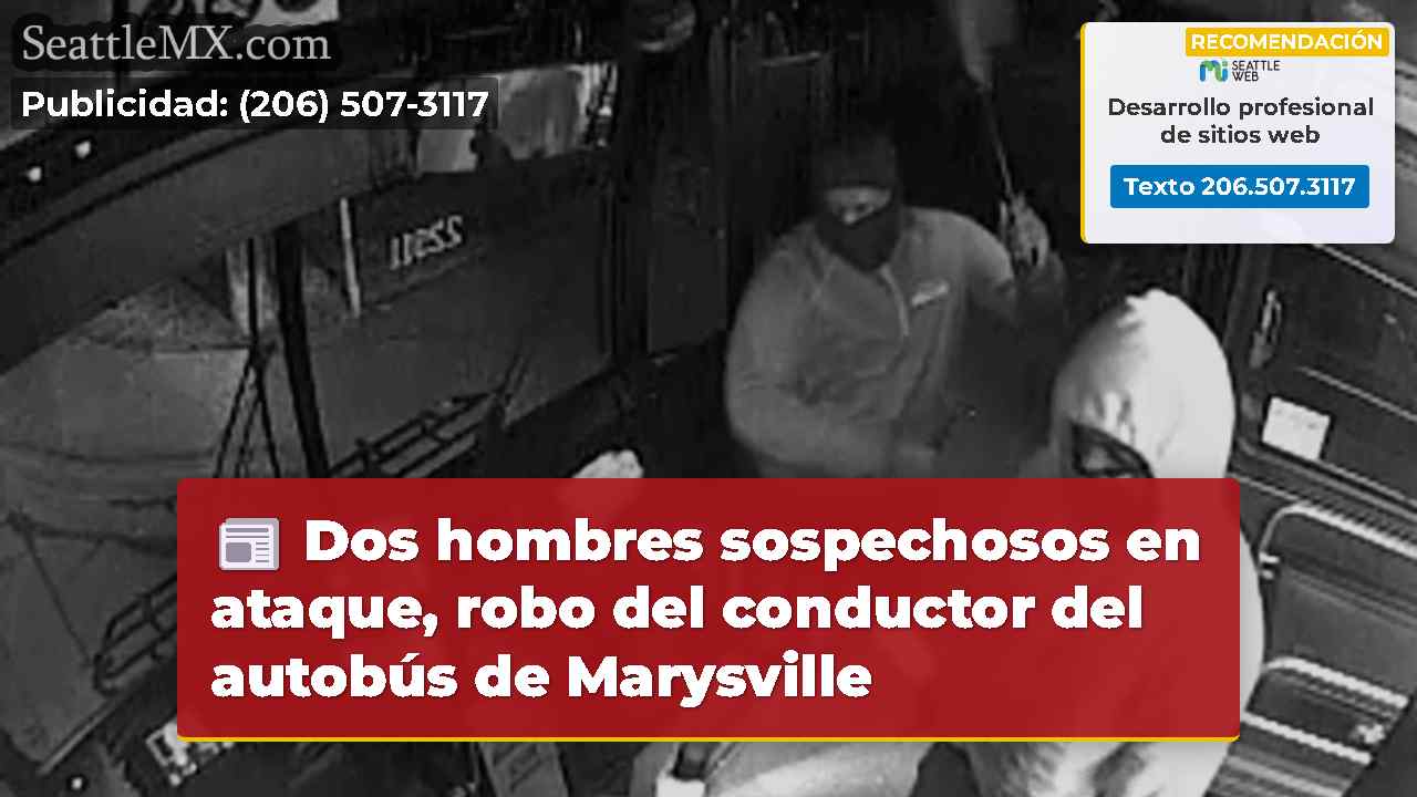 Dos hombres sospechosos en ataque, robo del