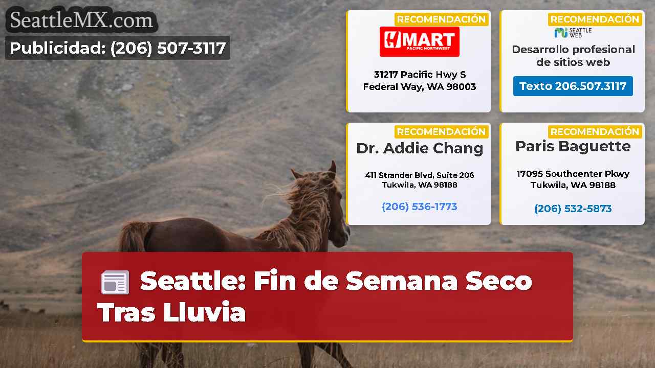 Noticias de Seattle SeattleMX
