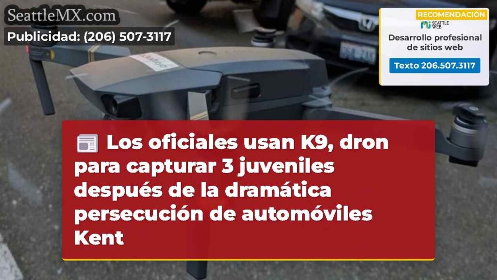 Los oficiales usan K9, dron para capturar 3