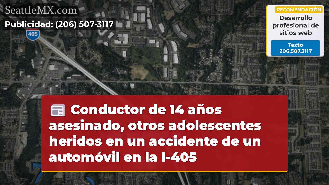 Conductor de 14 años asesinado, otros