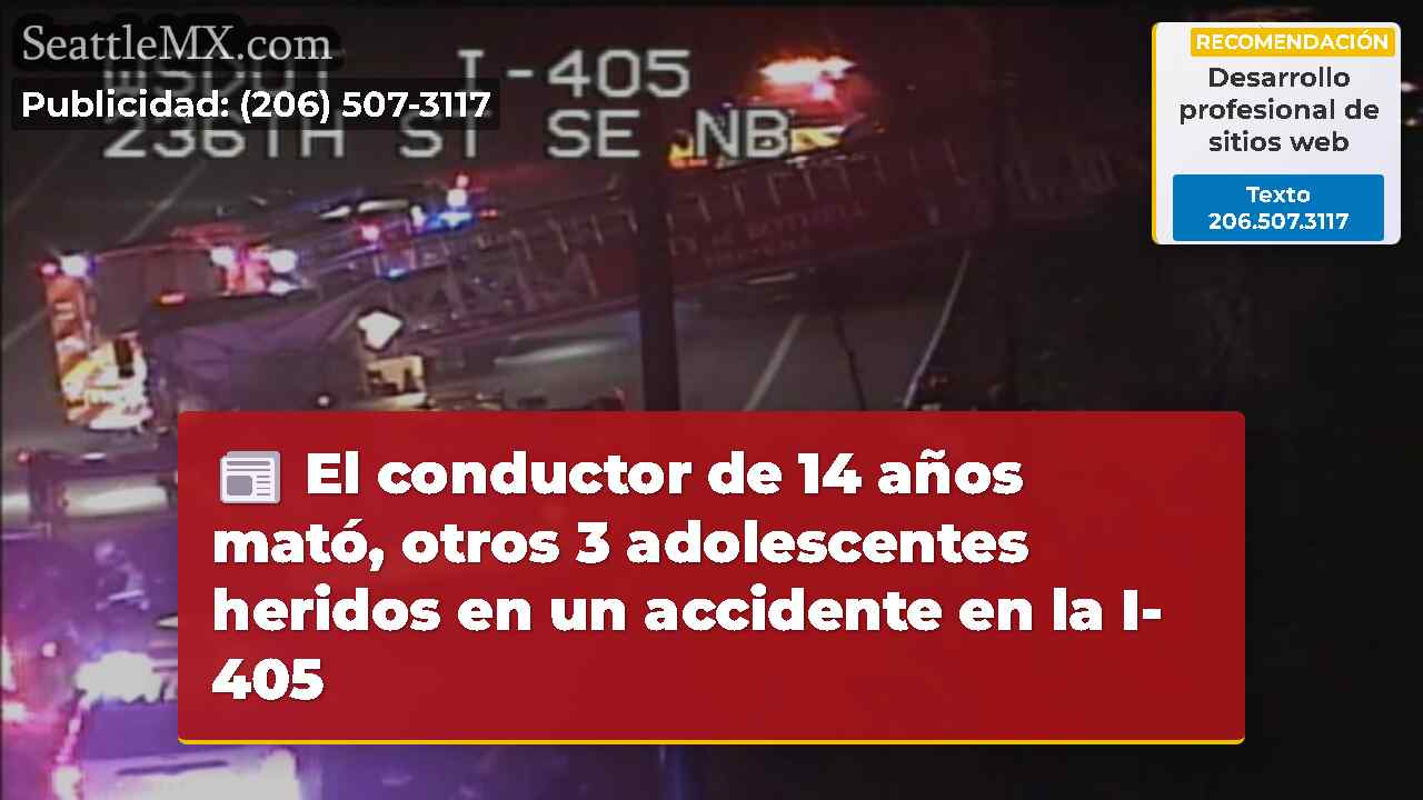 El conductor de 14 años mató, otros 3