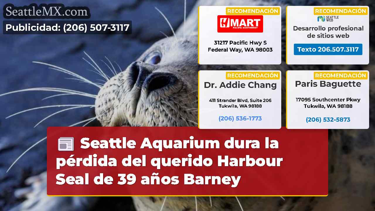 Noticias de Seattle SeattleMX