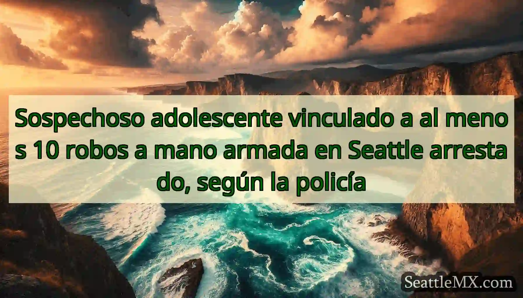 Sospechoso adolescente vinculado a al menos 10