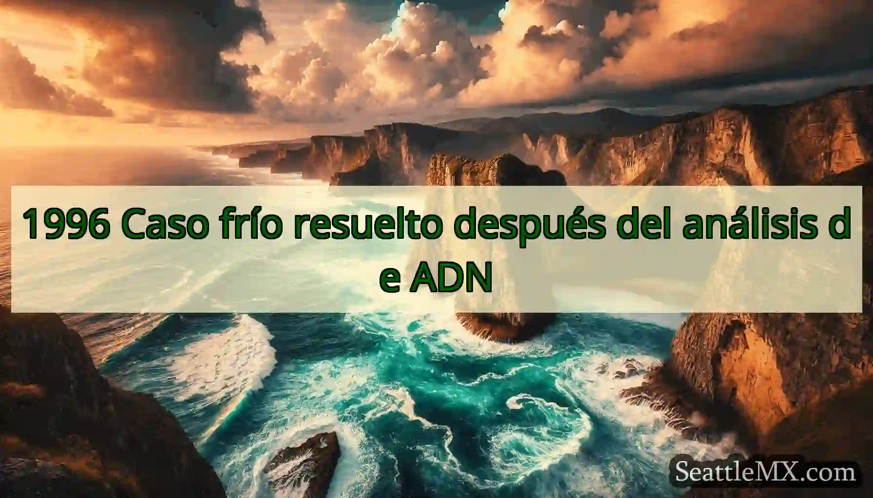 1996 Caso frío resuelto después del análisis de