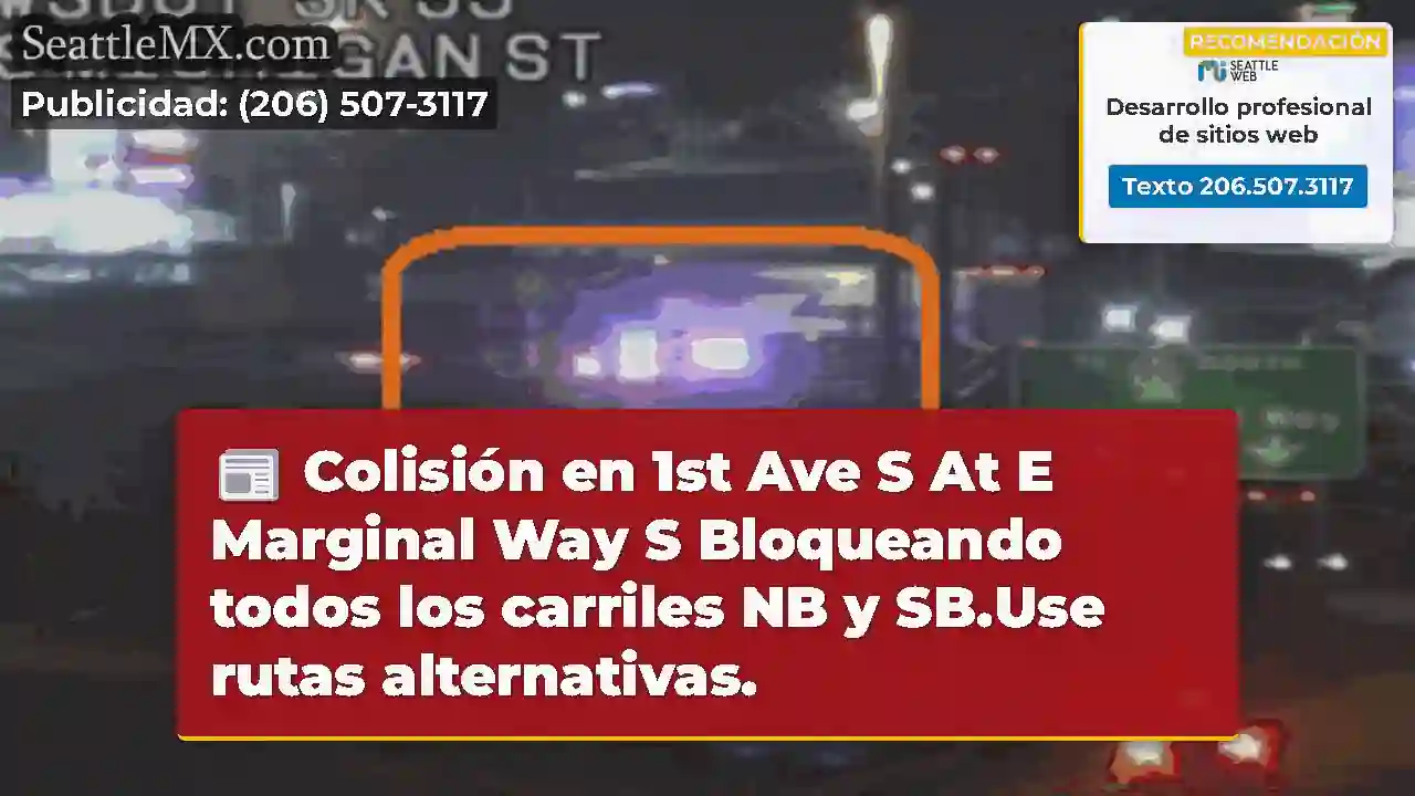 Colisión en 1st Ave S At E Marginal Way S