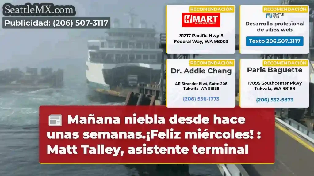 Mañana niebla desde hace unas semanas.¡Feliz