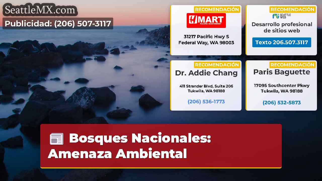 Noticias de Seattle SeattleMX