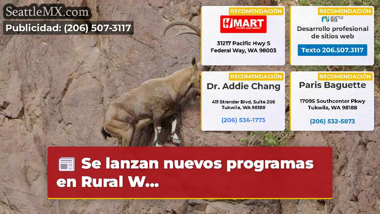 Noticias de Seattle SeattleMX