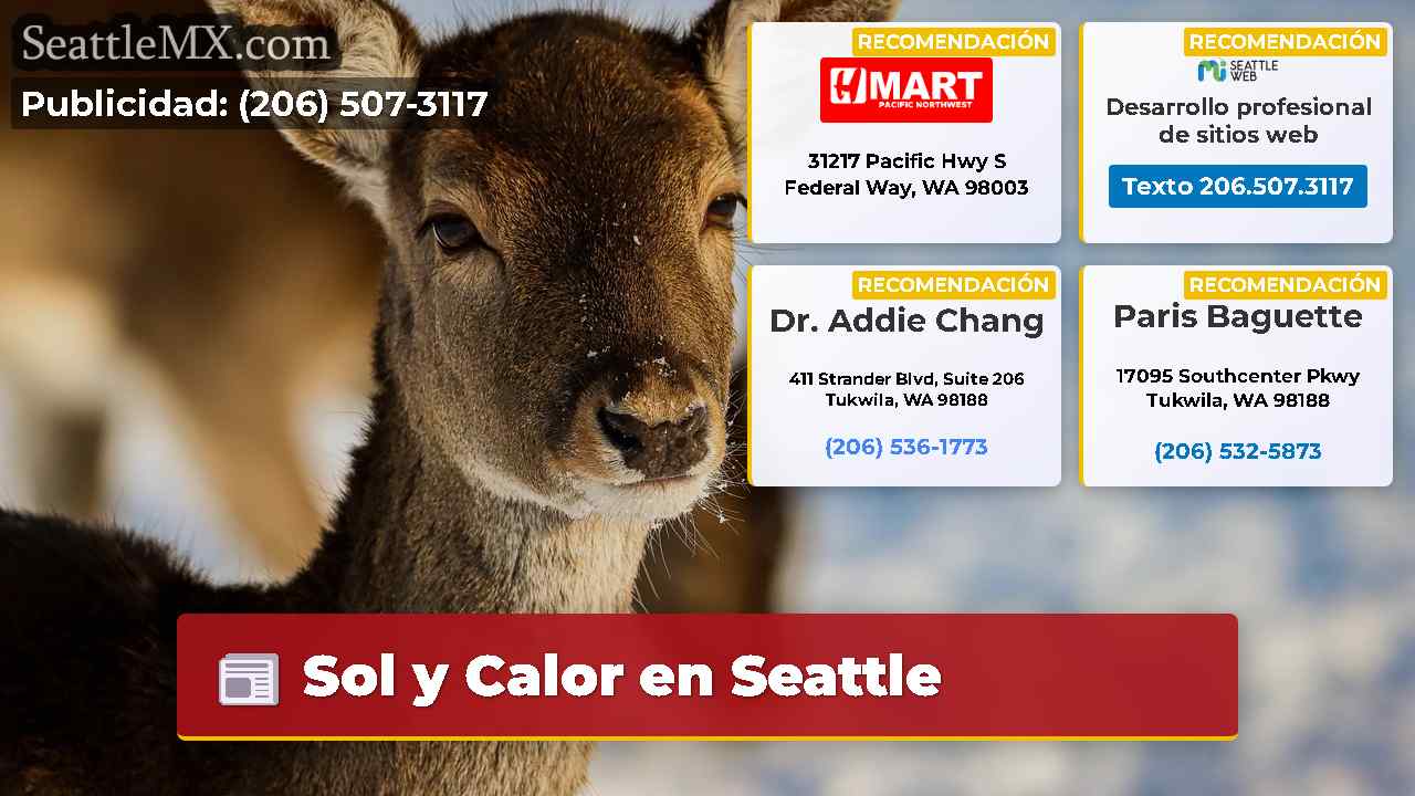 Noticias de Seattle SeattleMX