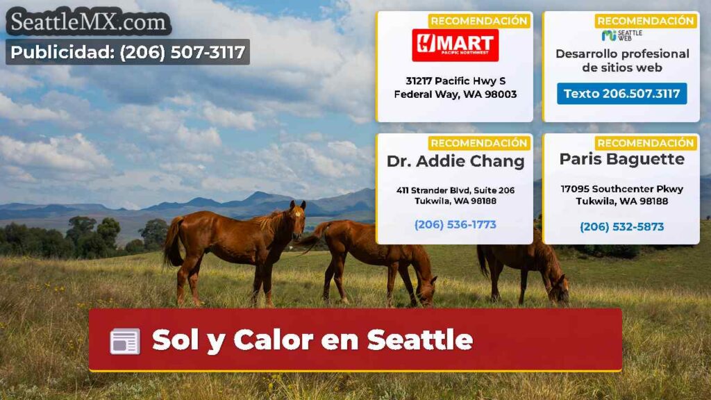 Sol y Calor en Seattle