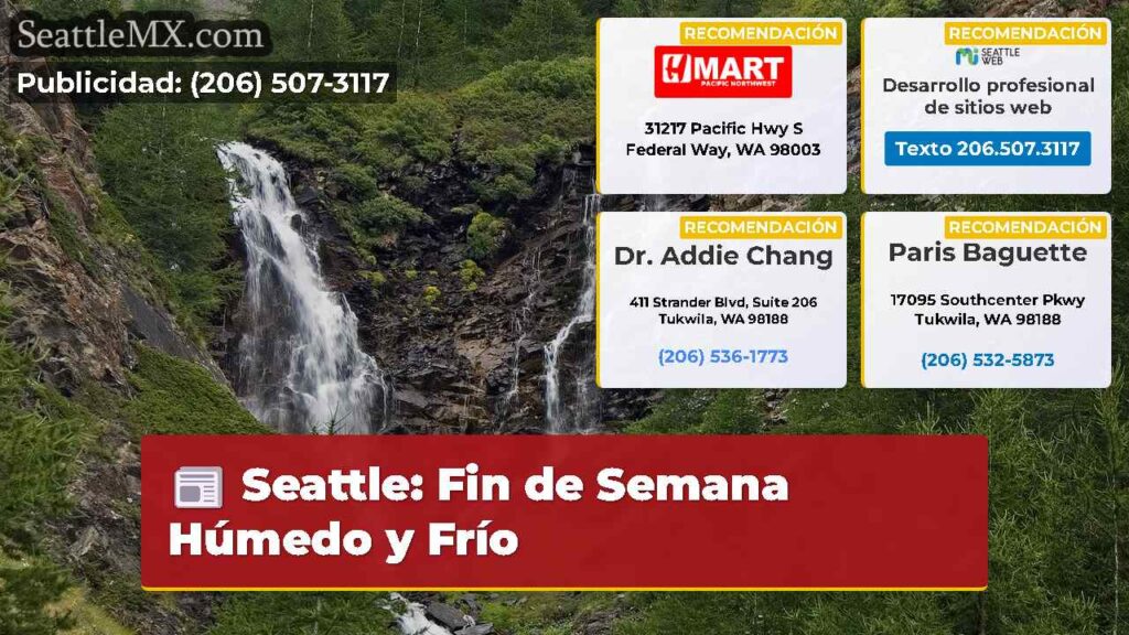 Seattle: Fin de Semana Húmedo y Frío