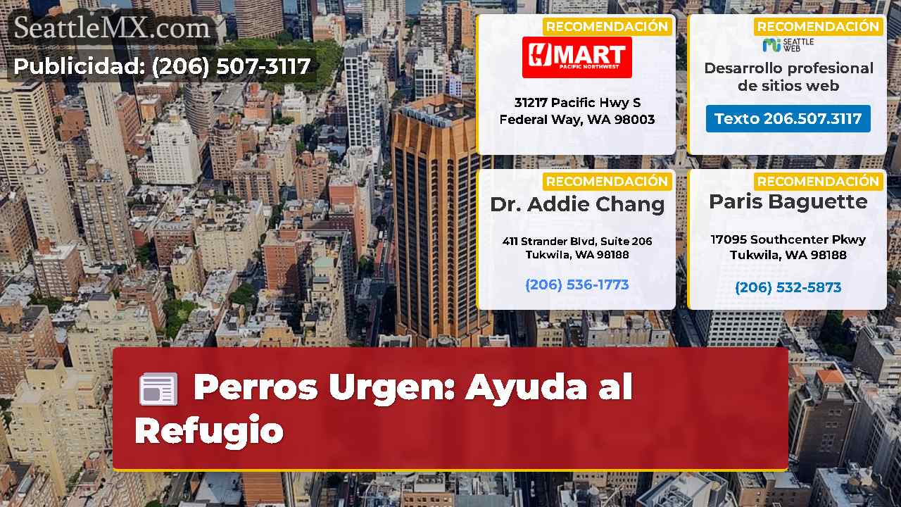 Noticias de Seattle SeattleMX