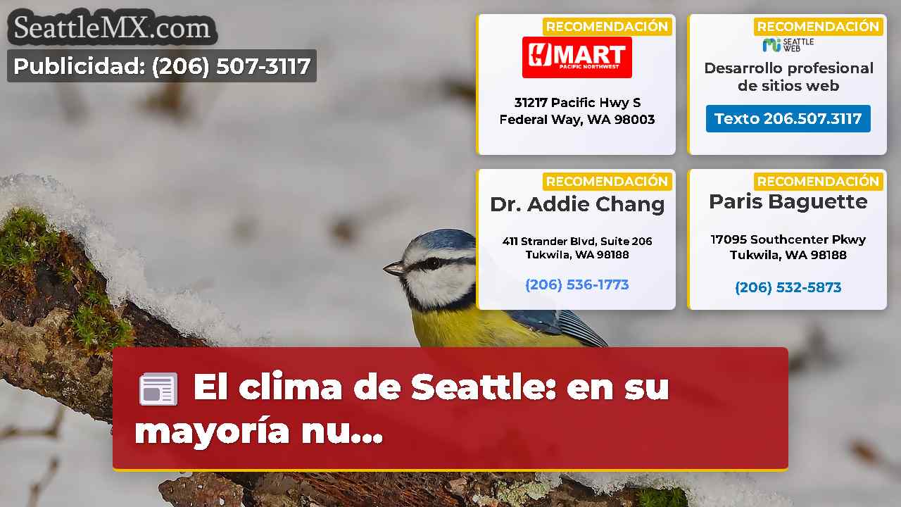 Noticias de Seattle SeattleMX