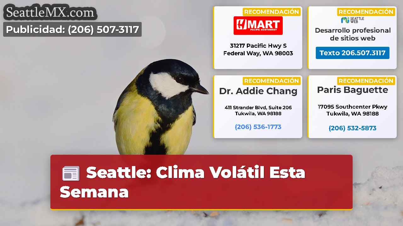 Noticias de Seattle SeattleMX