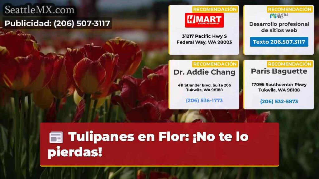 Tulipanes en Flor: ¡No te lo pierdas!
