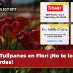 Tulipanes en Flor ¡No te lo pierdas!