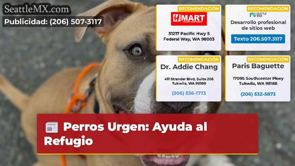 Perros Urgen: Ayuda al Refugio