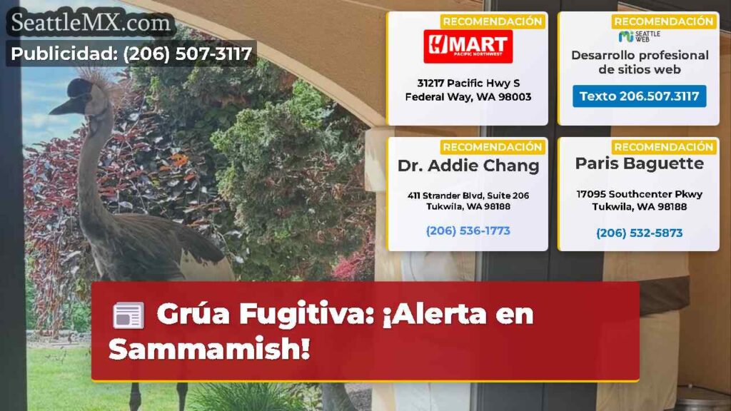 Grúa Fugitiva: ¡Alerta en Sammamish!