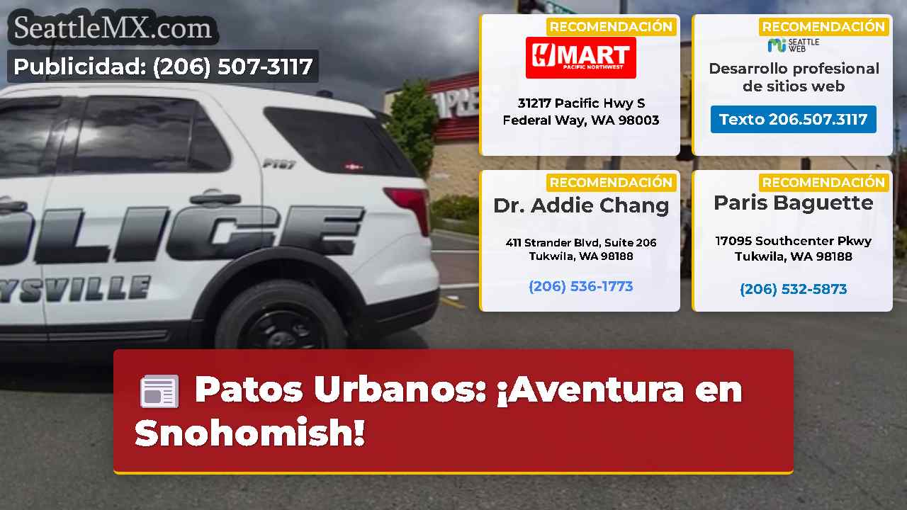 Noticias de Seattle SeattleMX