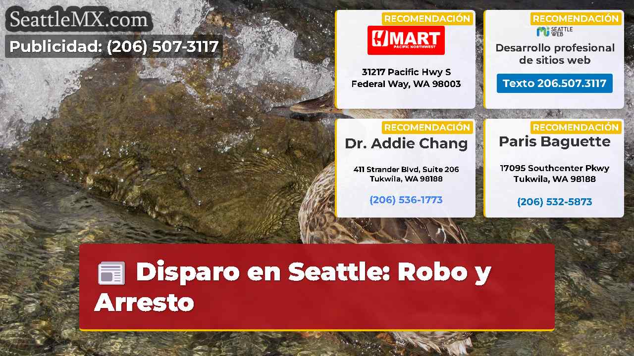 Noticias de Seattle SeattleMX