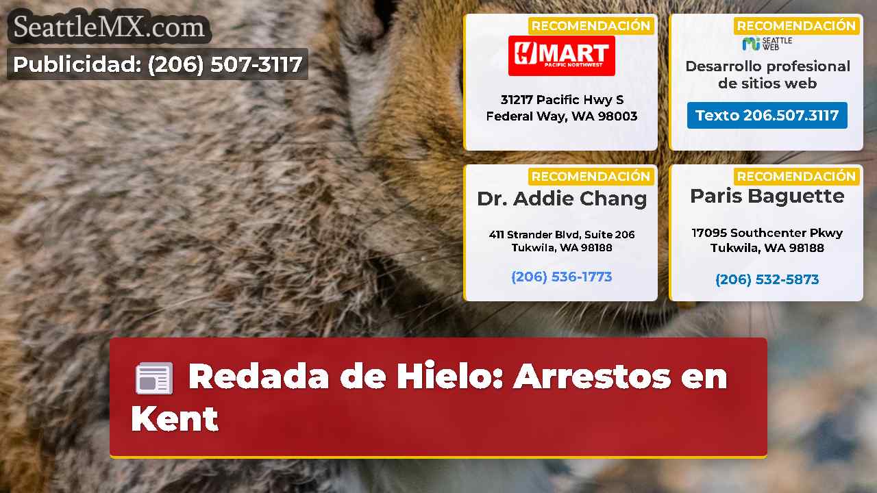 Noticias de Seattle SeattleMX