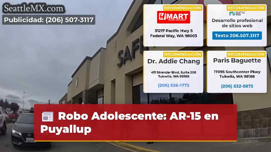 Robo Adolescente: AR-15 en Puyallup