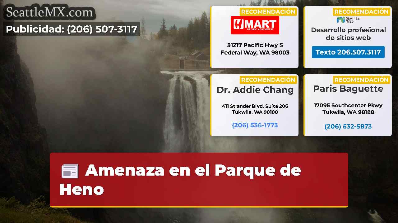 Noticias de Seattle SeattleMX