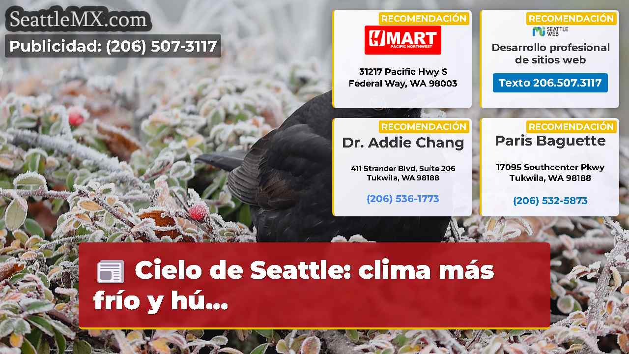 Noticias de Seattle SeattleMX