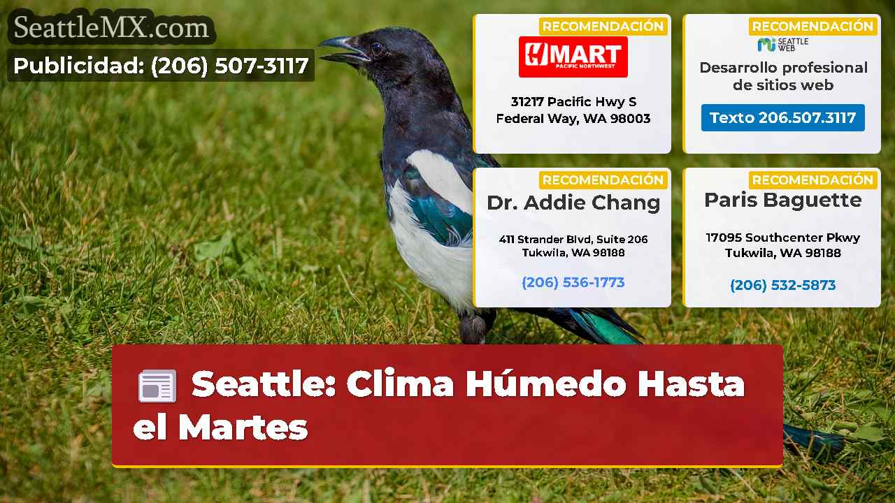 Noticias de Seattle SeattleMX