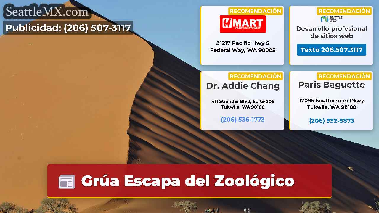 Noticias de Seattle SeattleMX