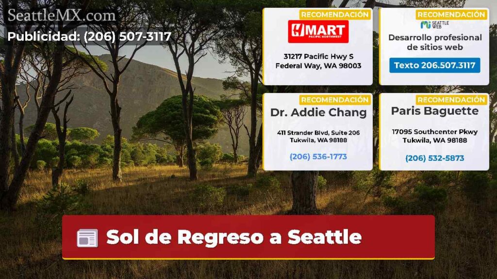 Home 6 Sol de Regreso a Seattle