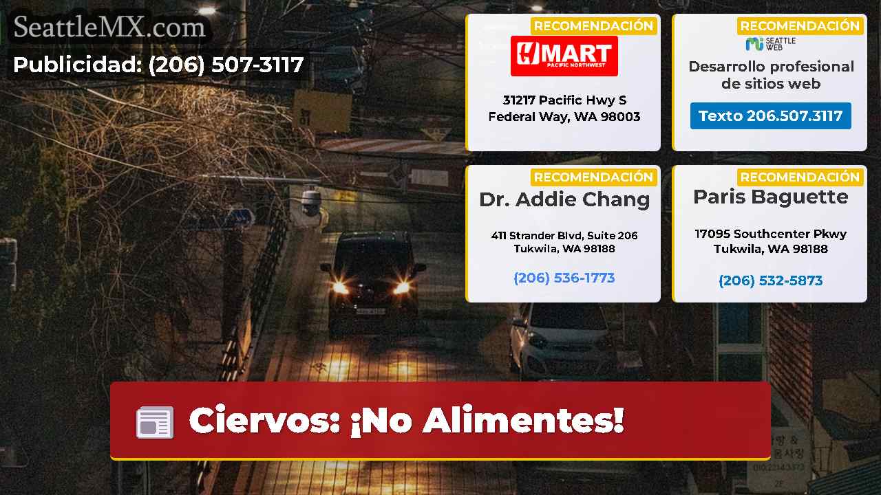 Noticias de Seattle SeattleMX