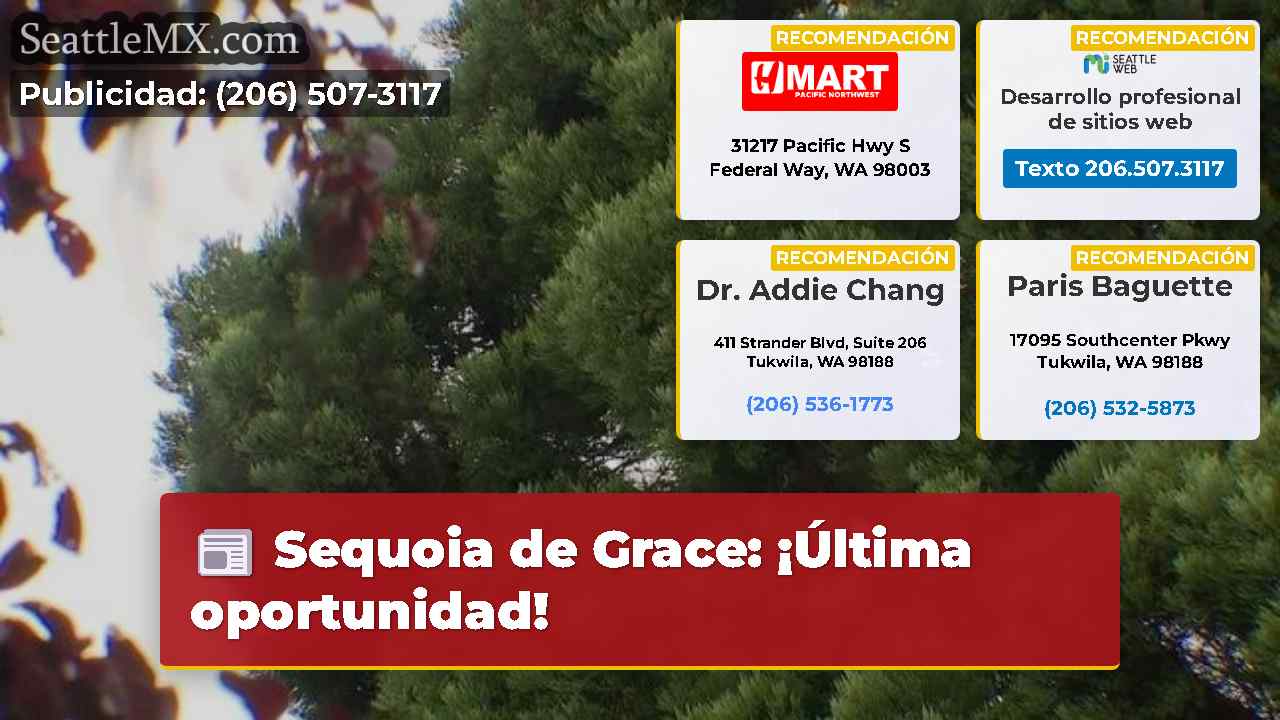 Noticias de Seattle SeattleMX