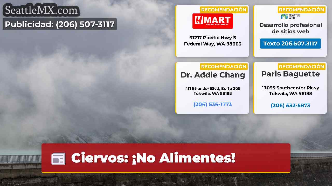 Noticias de Seattle SeattleMX