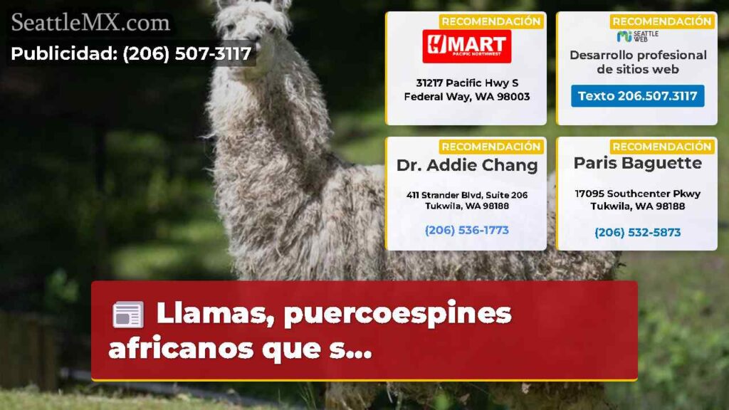 Llamas, puercoespines africanos que s...