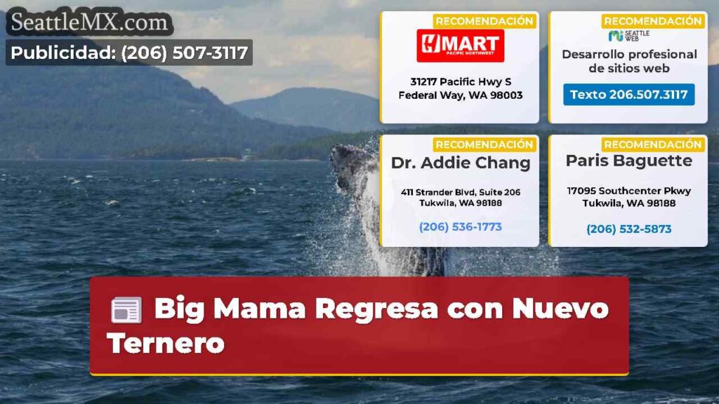 Big Mama Regresa con Nuevo Ternero