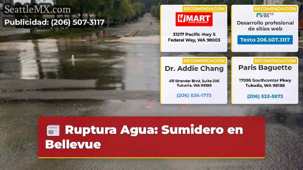 Ruptura Agua: Sumidero en Bellevue