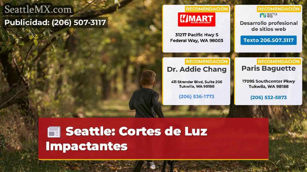 Seattle: Cortes de Luz Impactantes