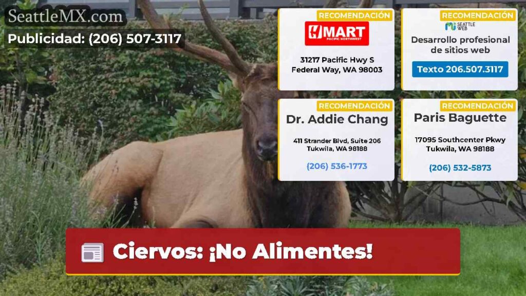 Ciervos: ¡No Alimentes!