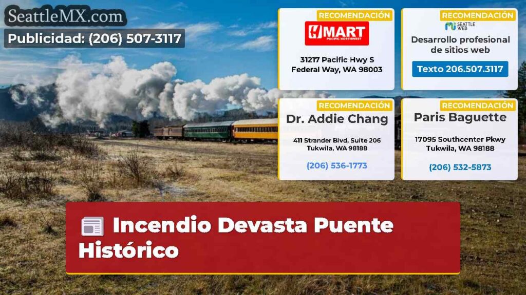 Incendio Devasta Puente Histórico