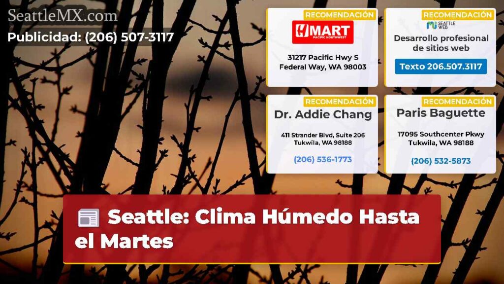 Seattle: Clima Húmedo Hasta el Martes