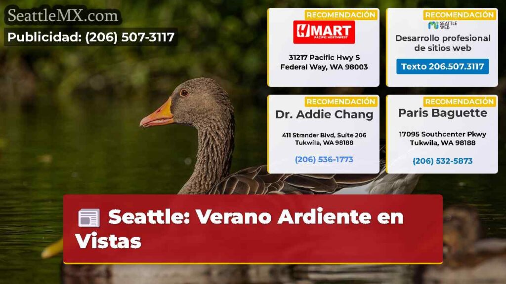 Seattle: Verano Ardiente en Vistas