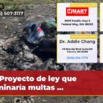 Proyecto de ley que caminaría multas …