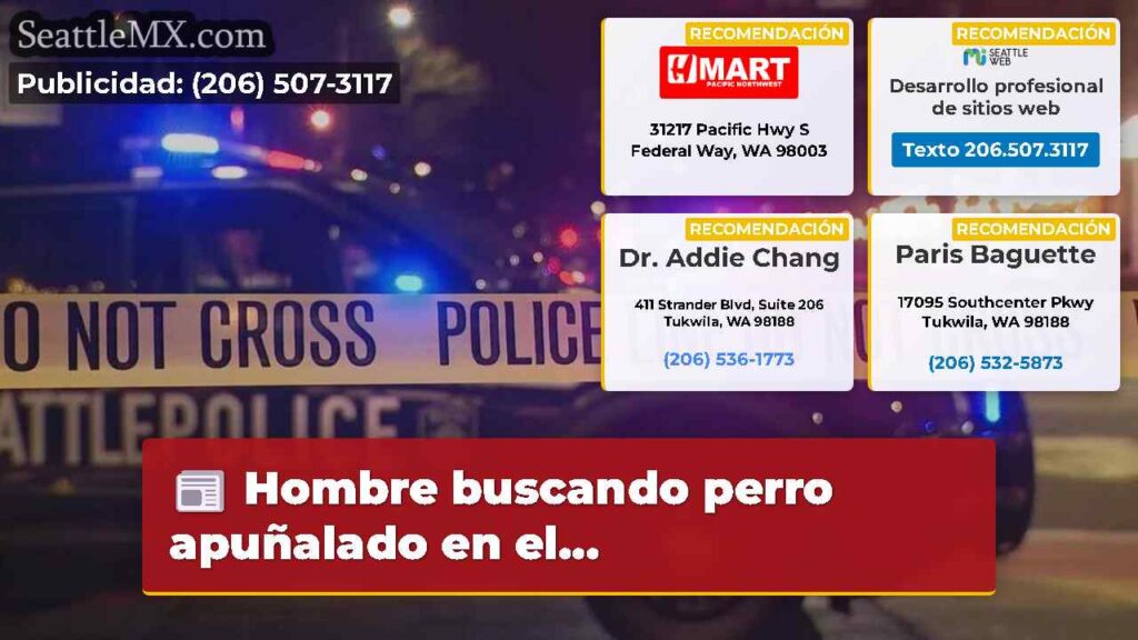 Hombre buscando perro apuñalado en el...