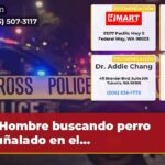 Hombre buscando perro apuñalado en el…