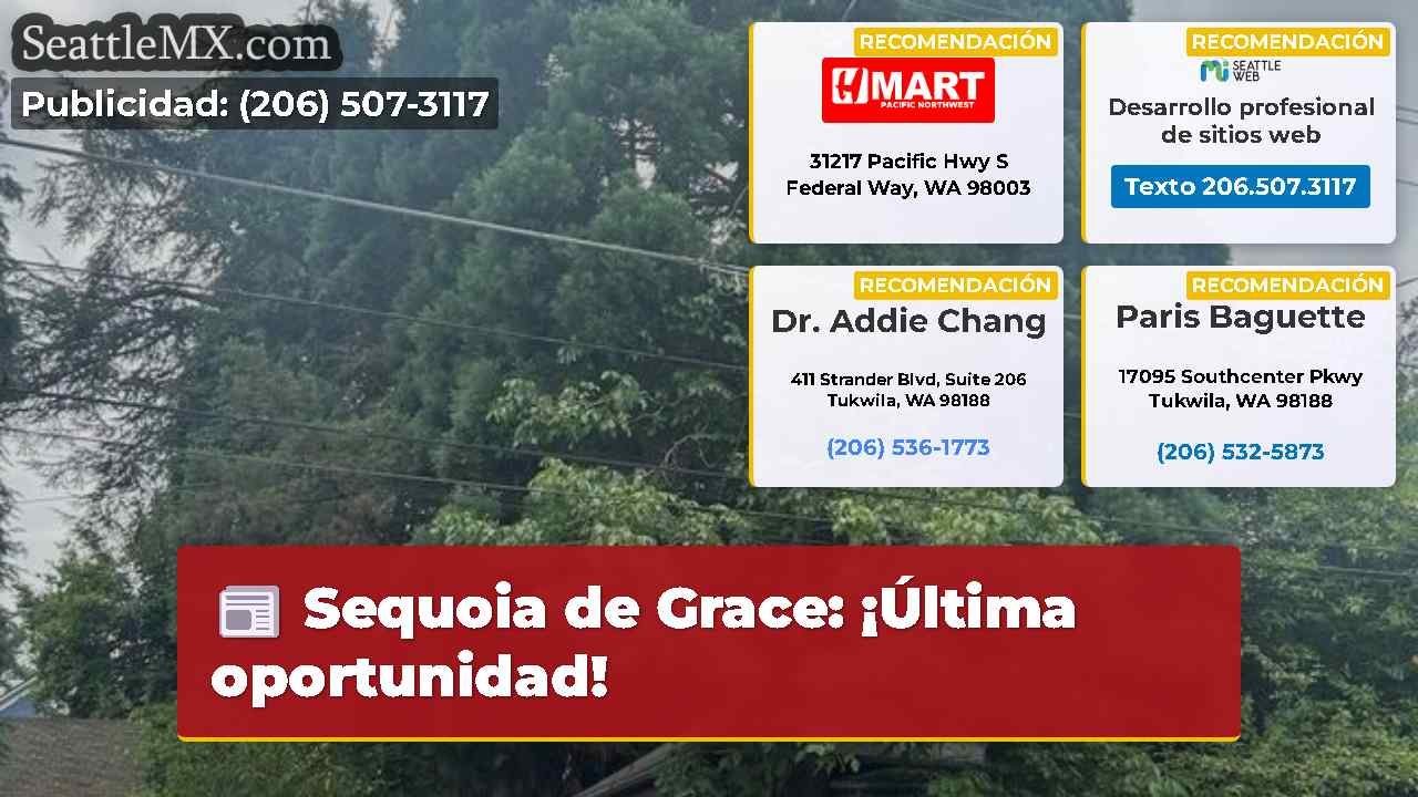 Noticias de Seattle SeattleMX